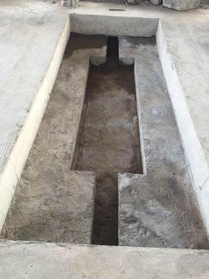 Весьте в цапфе масштабов цапфы тележки движения динамической веся систему 3.0М С0.9Мкс300мм